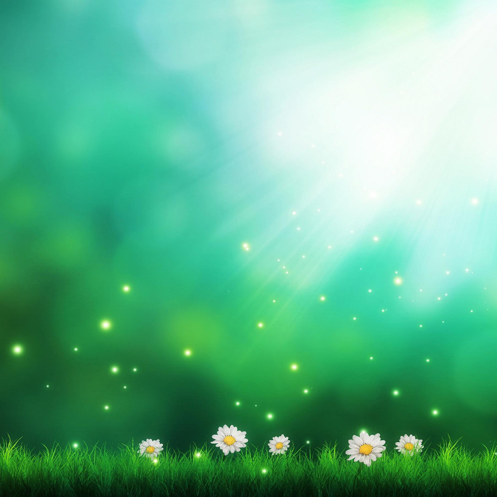 Meet your Posher, Hillary